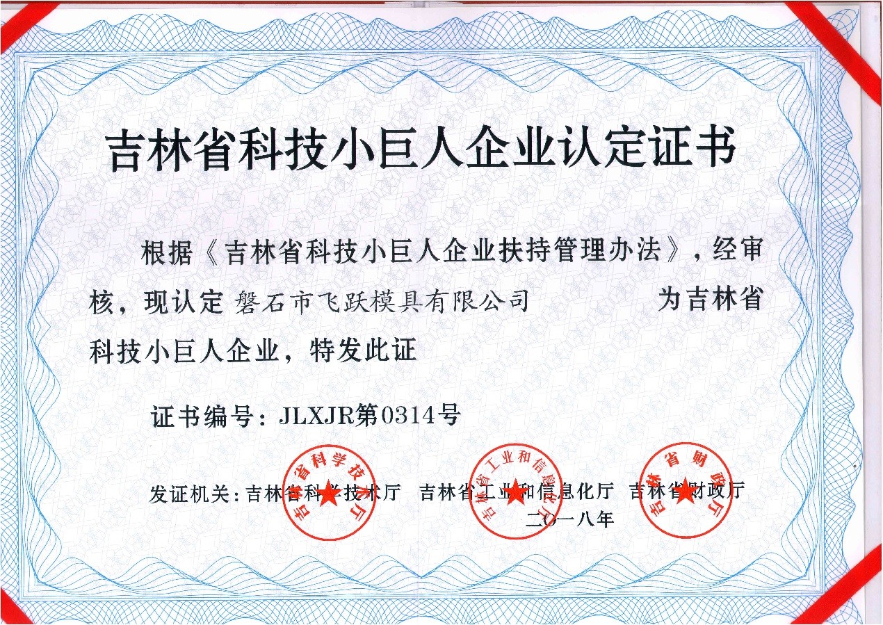 吉林省科技小巨人企业认定证书